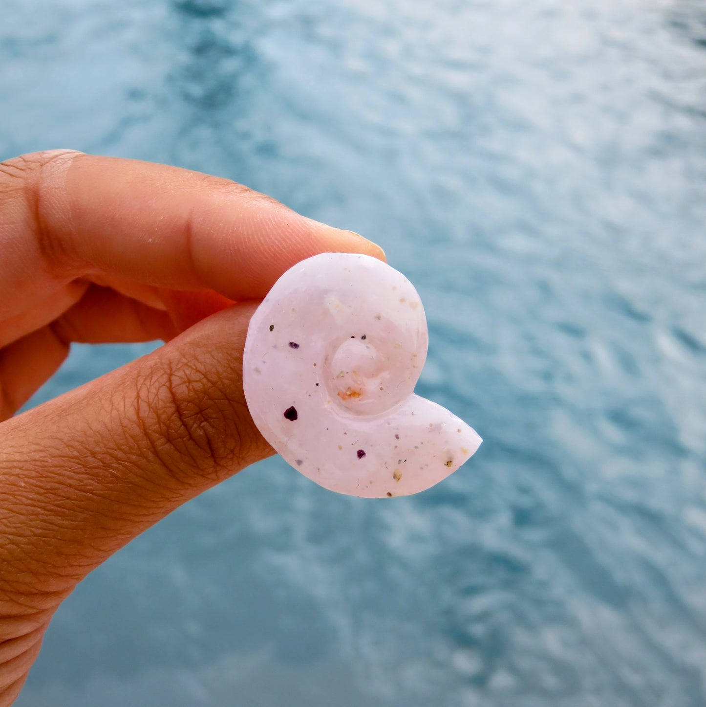 21 - Boucles d'oreilles Nautilus