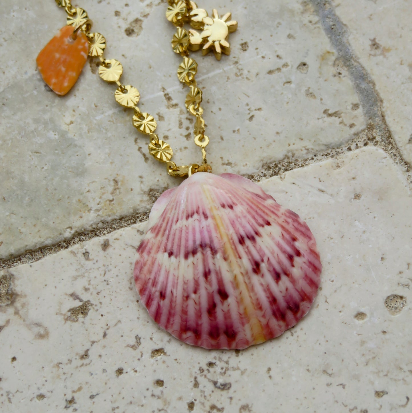 17- Collier Ocean life