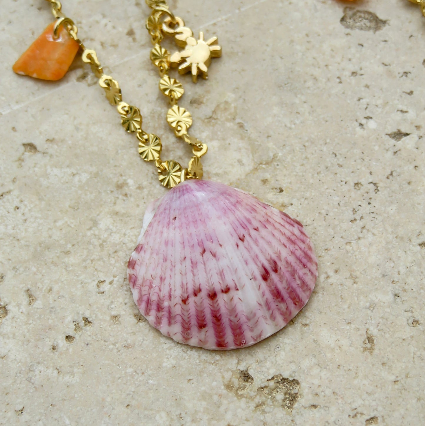 17- Collier Ocean life