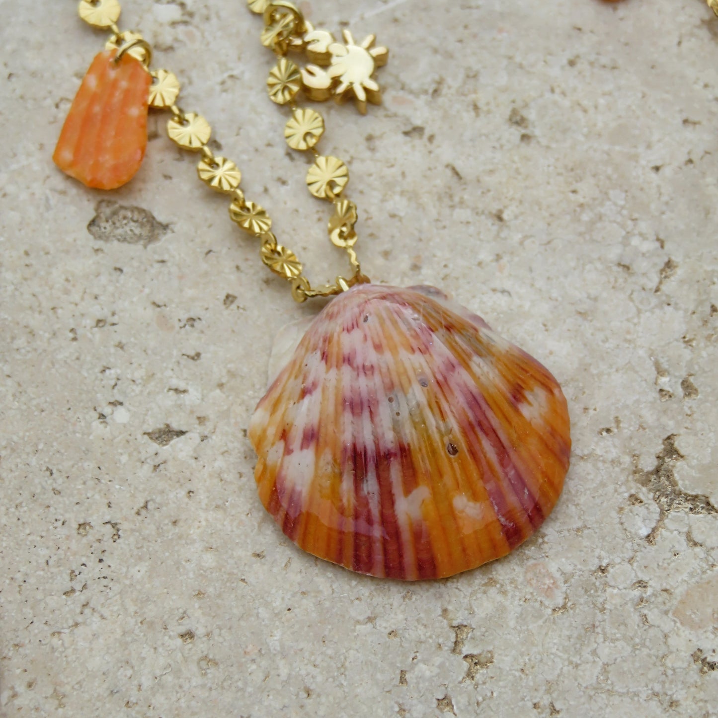 17- Collier Ocean life